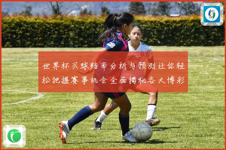 世界杯买球赔率分析与预测让你轻松把握赛事机会全面揭秘各大博彩公司最新赔率走势